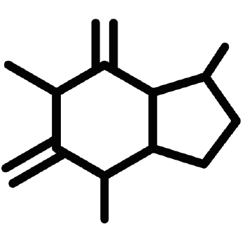 Caffeine_4b263b4a-39a9-497d-a0e2-662db615a421.png