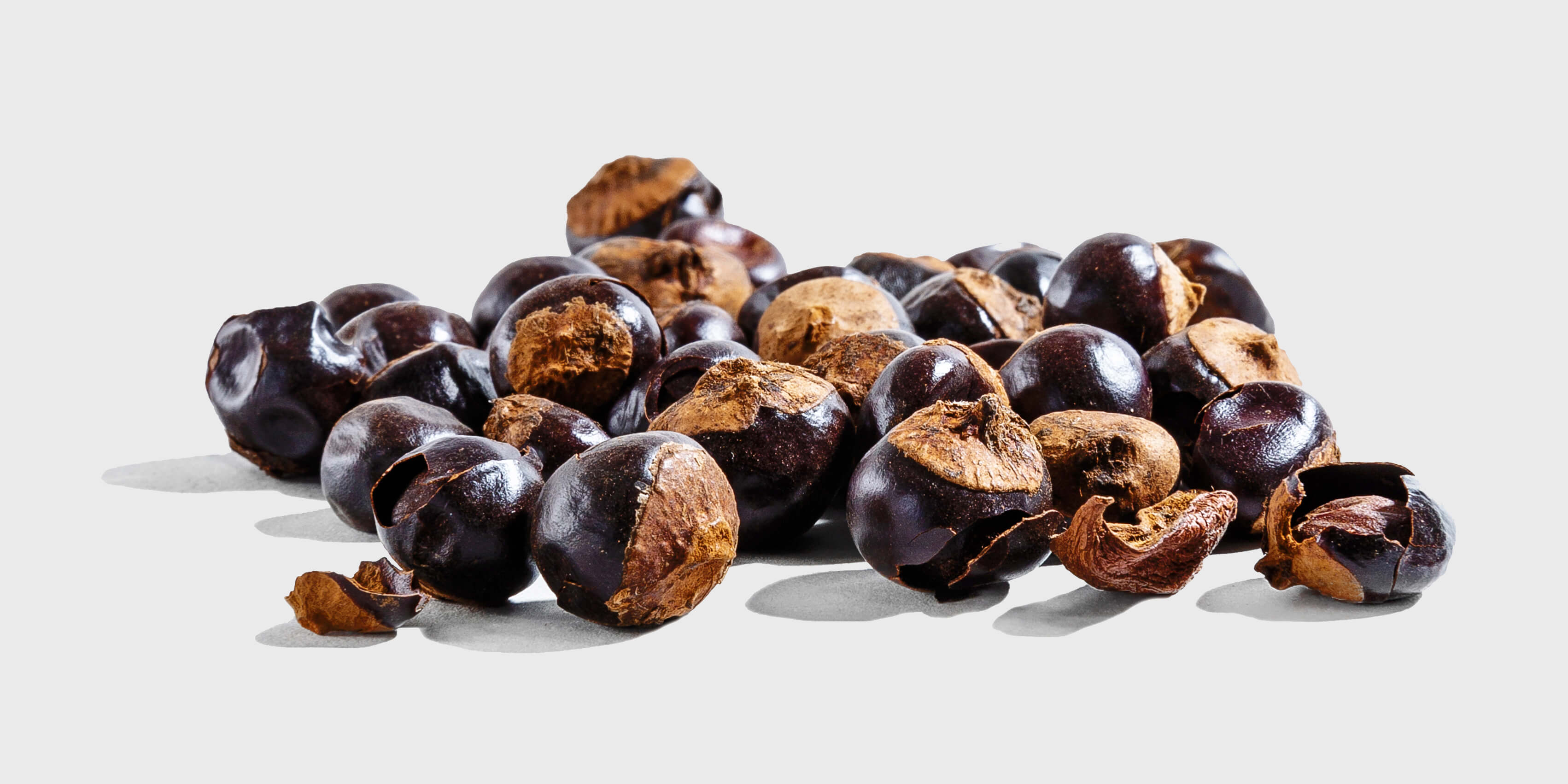 Guarana Seed Extract