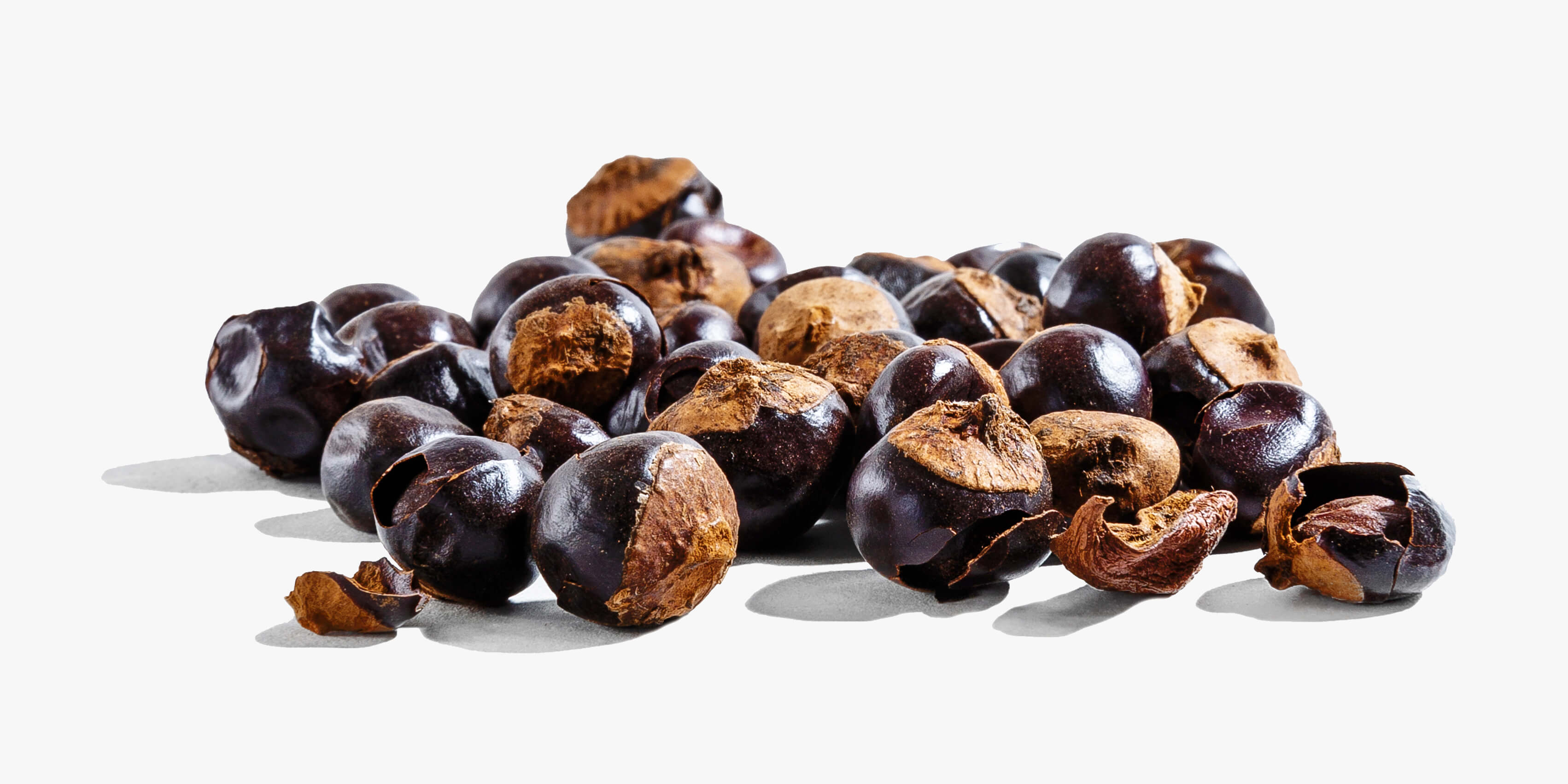 Guarana seed extract